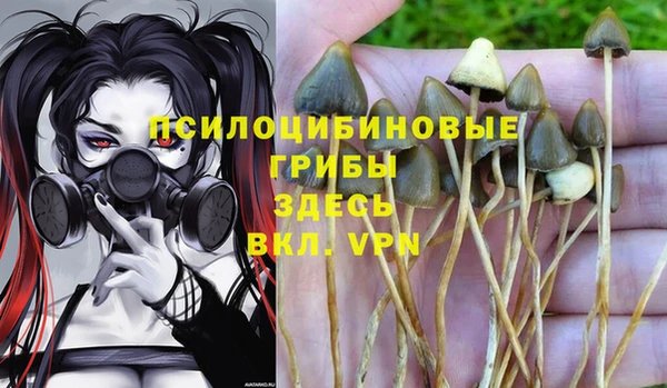марки lsd Алексин