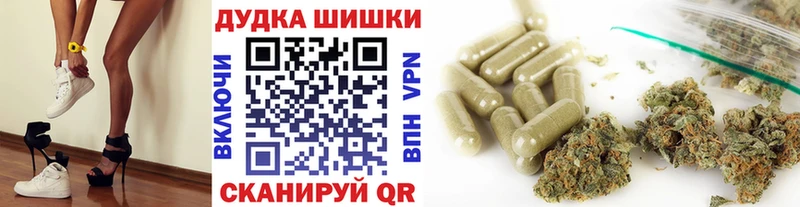 Бошки марихуана индика  Белореченск 